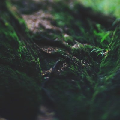 Nature10
