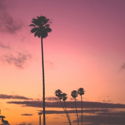 Nature12