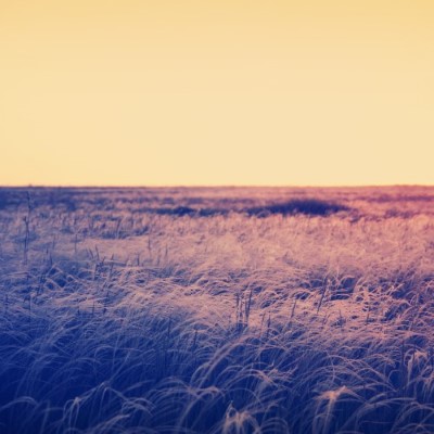 Nature25